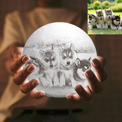 Personalized Creative 3D Print photo Moon Lamp, Lovely Pet Engraved Lamp - Touch Two Colors - mysiliconefoodbag