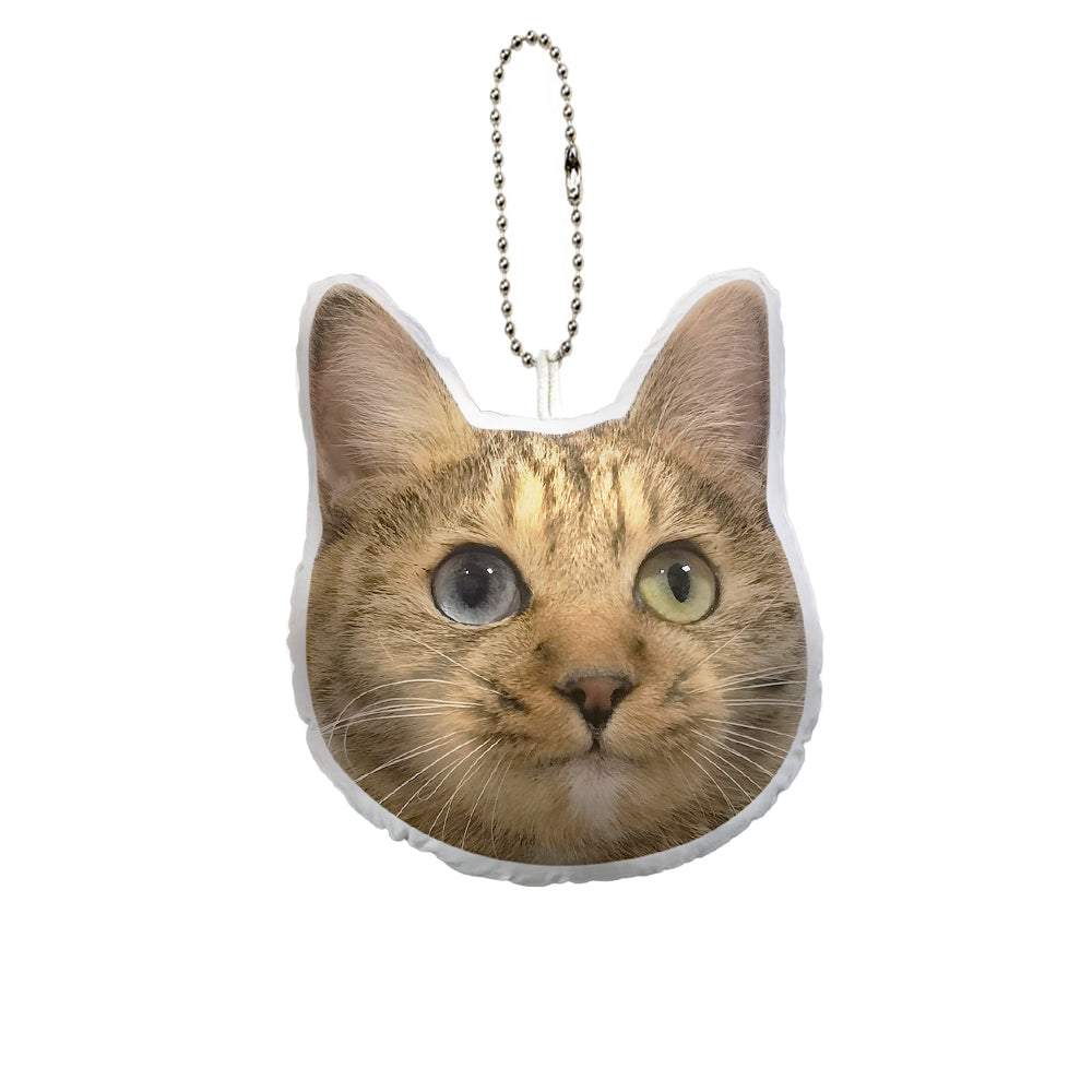 Custom Cat Face Mini Plush Hanging Ornaments with Voice Decorations for Christmas Gifts